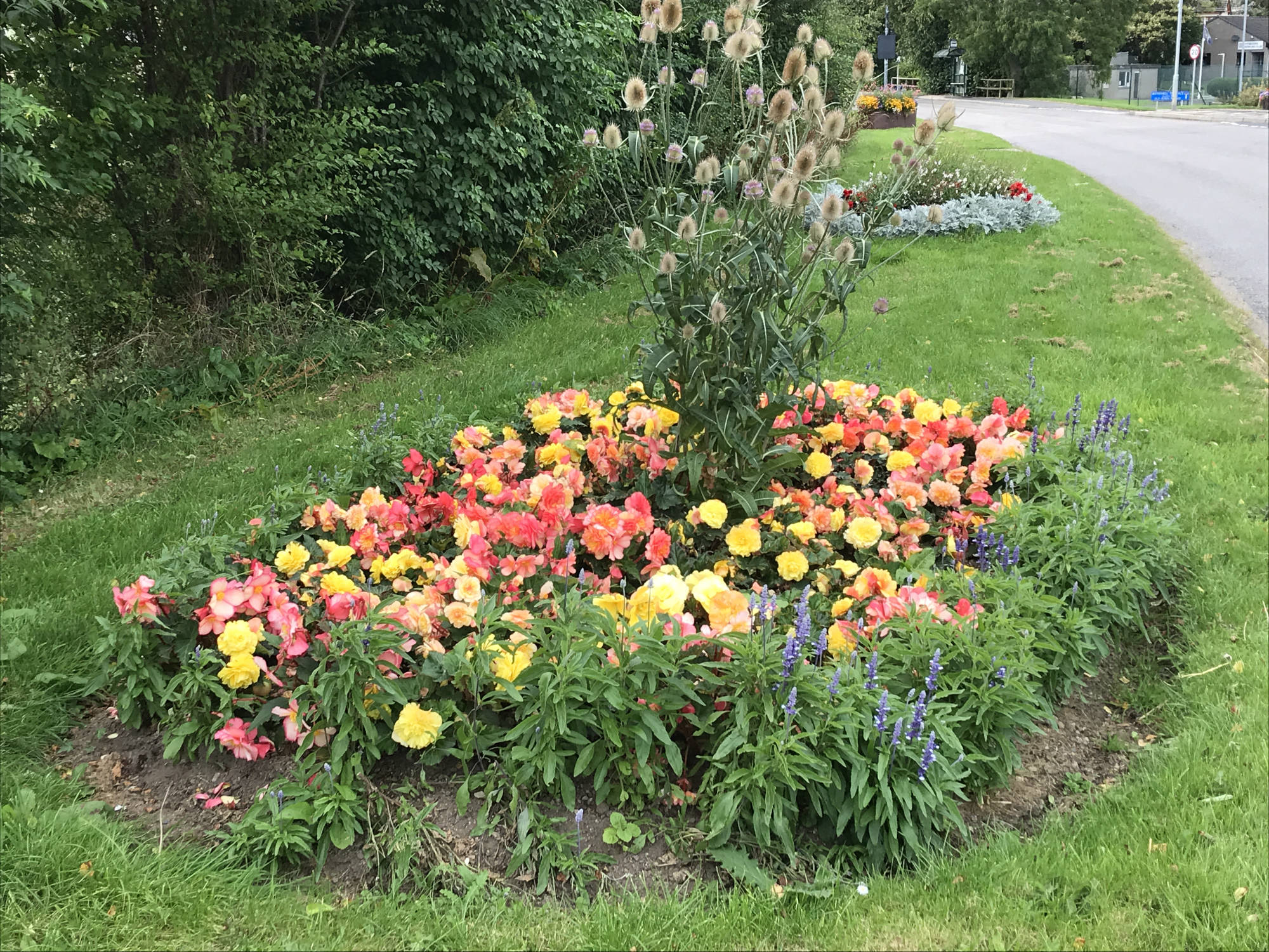 Medium community highly commended - Pitmedden